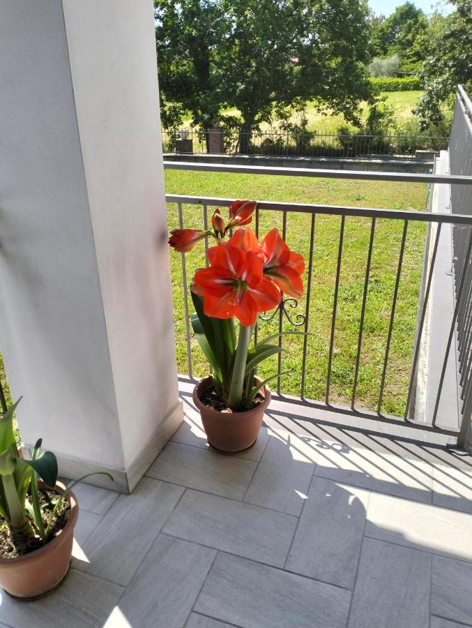 Alloggio Le Due Querce Acquapendente Zewnętrze zdjęcie